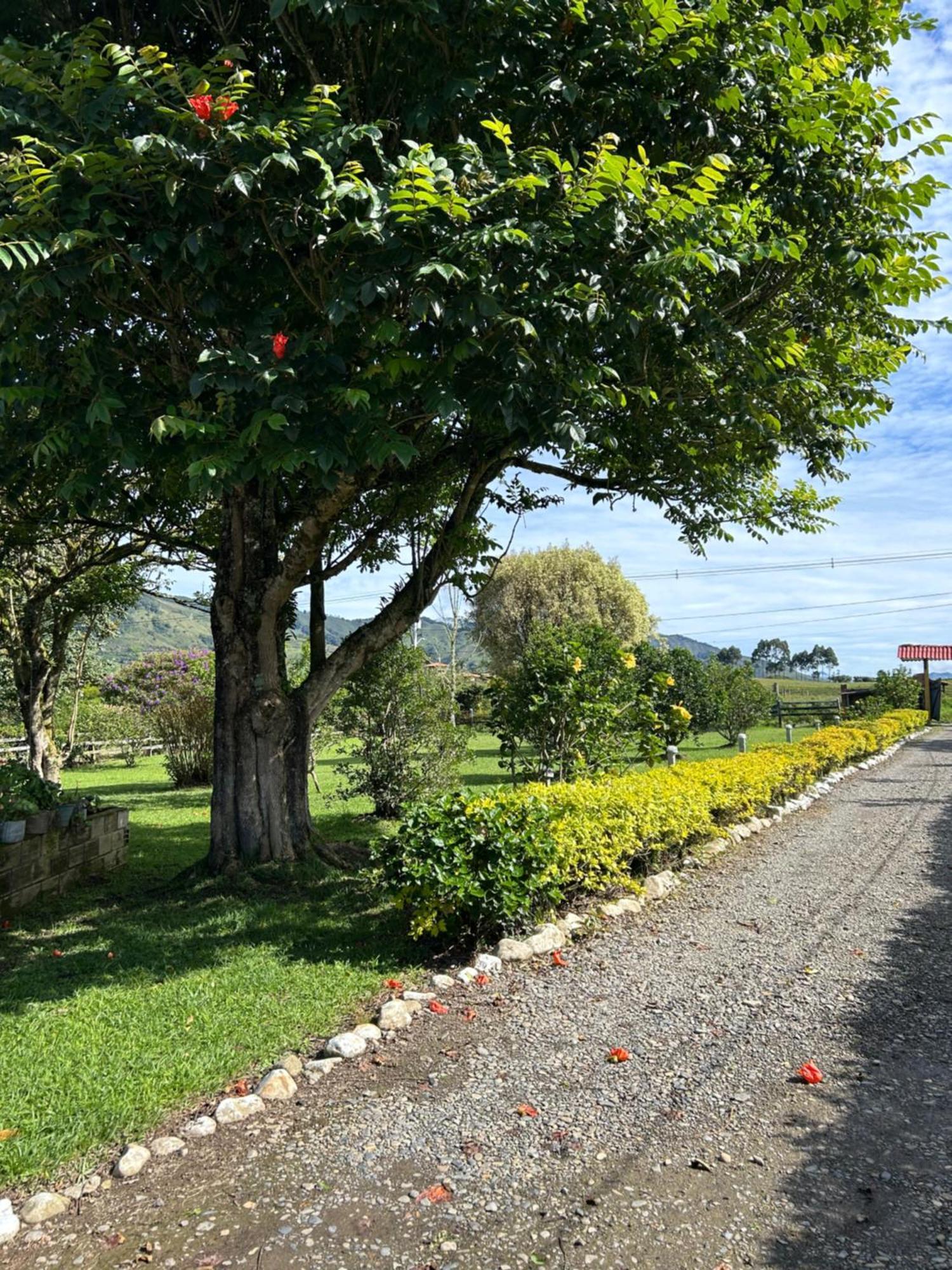 Finca Hotel Paraiso Urrao Exterior foto